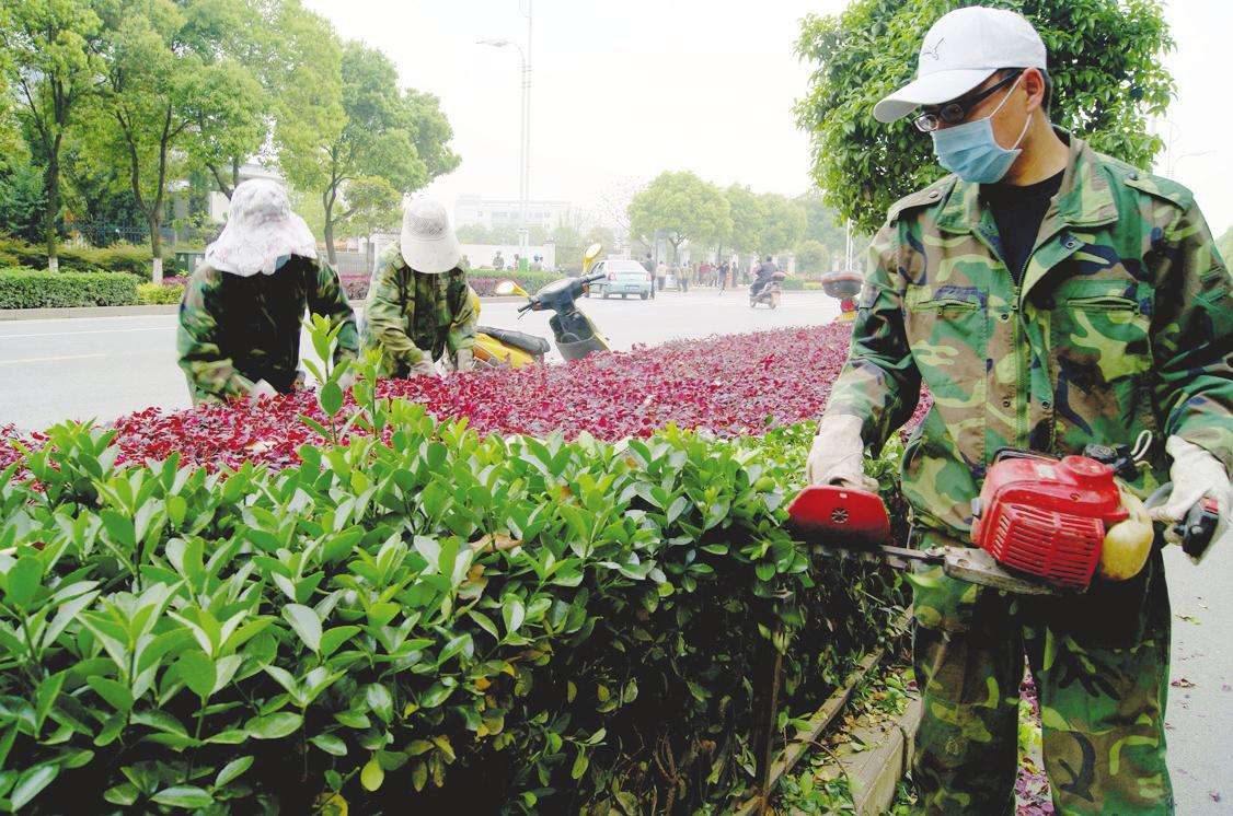 <b>绿化养护中各种植物修剪方法</b>